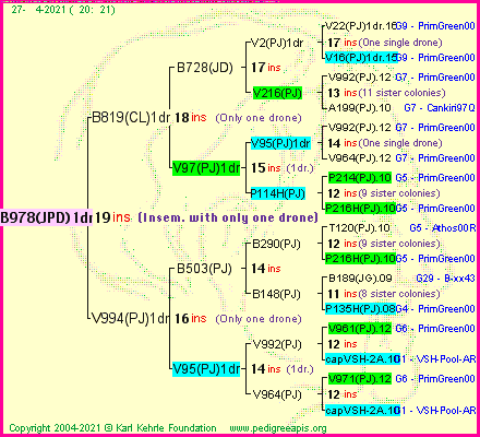 Pedigree of B978(JPD)1dr :
four generations presented
it's temporarily unavailable, sorry!