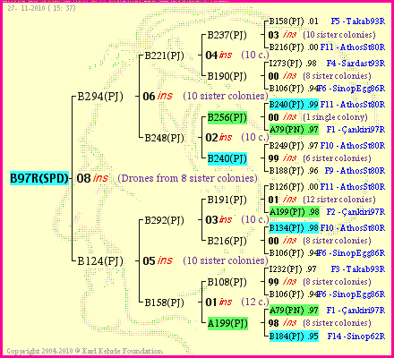 Pedigree of B97R(SPD) :
four generations presented