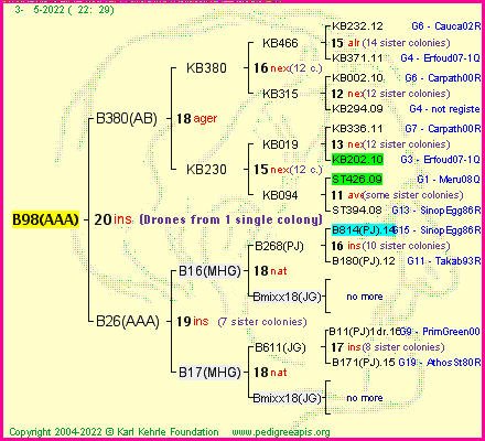 Pedigree of B98(AAA) :
four generations presented
it's temporarily unavailable, sorry!