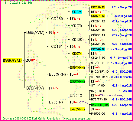 Pedigree of B98(AVM) :
four generations presented
it's temporarily unavailable, sorry!