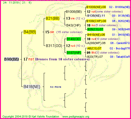 Pedigree of B98(BB) :
four generations presented<br />it's temporarily unavailable, sorry!