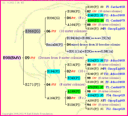 Pedigree of B98(BMV) :
four generations presented