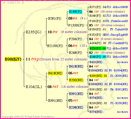 Pedigree of B98(BZF) :
four generations presented