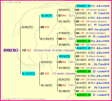 Pedigree of B98(CBC) :
four generations presented