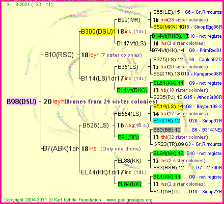Pedigree of B98(DSU) :
four generations presented
it's temporarily unavailable, sorry!