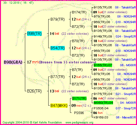 Pedigree of B98(GRA) :
four generations presented
it's temporarily unavailable, sorry!