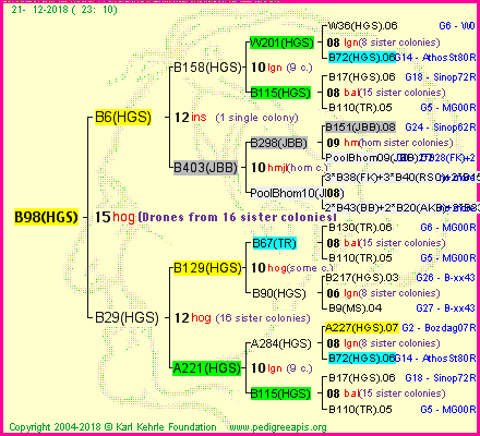 Pedigree of B98(HGS) :
four generations presented<br />it's temporarily unavailable, sorry!