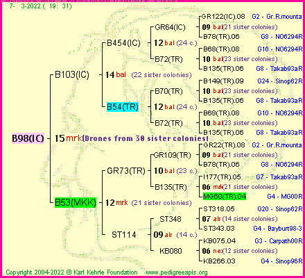 Pedigree of B98(IC) :
four generations presented
it's temporarily unavailable, sorry!