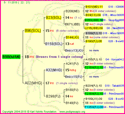 Pedigree of B98(MAN) :
four generations presented
it's temporarily unavailable, sorry!