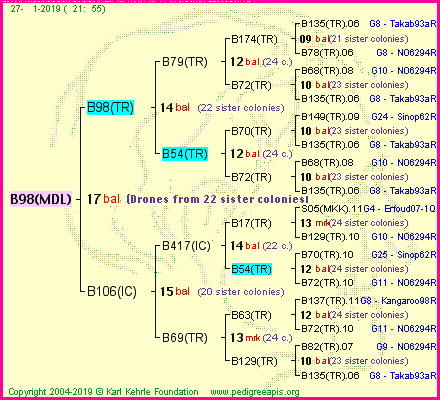 Pedigree of B98(MDL) :
four generations presented
it's temporarily unavailable, sorry!