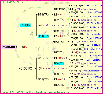 Pedigree of B98(MDL) :
four generations presented
it's temporarily unavailable, sorry!
