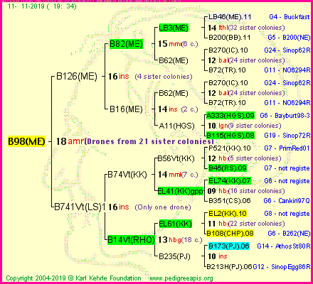 Pedigree of B98(ME) :
four generations presented
it's temporarily unavailable, sorry!