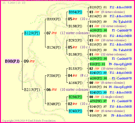 Pedigree of B98(PJ) :
four generations presented