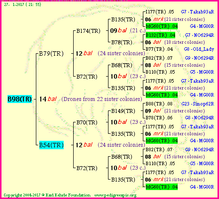 Pedigree of B98(TR) :
four generations presented