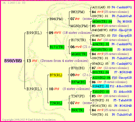 Pedigree of B98(VBB) :
four generations presented