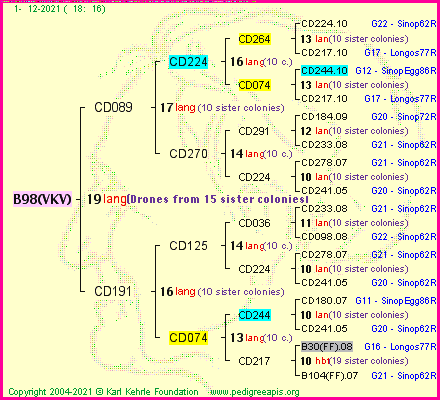 Pedigree of B98(VKV) :
four generations presented
it's temporarily unavailable, sorry!