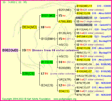 Pedigree of B982(MD) :
four generations presented
it's temporarily unavailable, sorry!