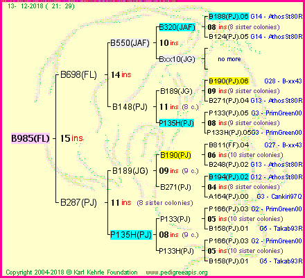 Pedigree of B985(FL) :
four generations presented
it's temporarily unavailable, sorry!