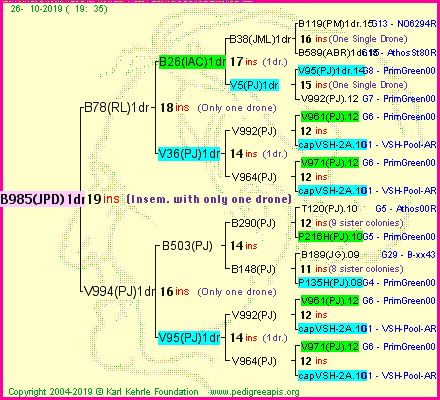 Pedigree of B985(JPD)1dr :
four generations presented<br />it's temporarily unavailable, sorry!