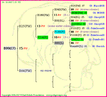 Pedigree of B99(CF) :
four generations presented