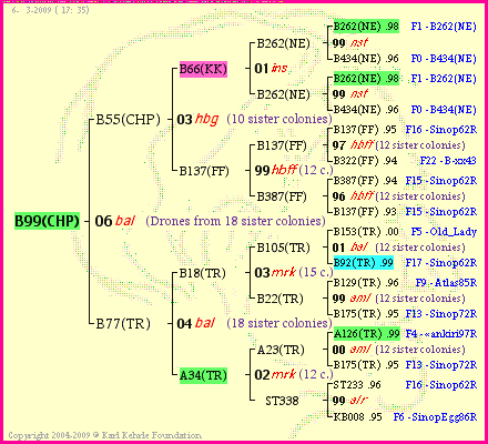 Pedigree of B99(CHP) :
four generations presented