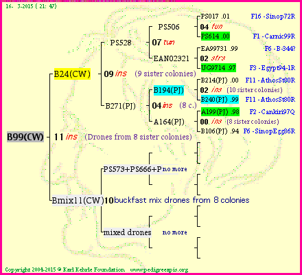 Pedigree of B99(CW) :
four generations presented