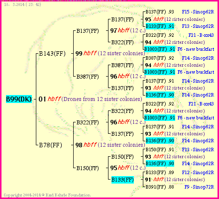 Pedigree of B99(DK) :
four generations presented