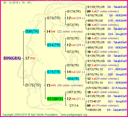 Pedigree of B99(GRA) :
four generations presented<br />it's temporarily unavailable, sorry!