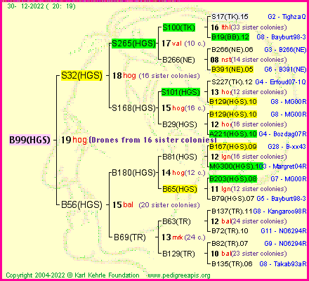 Pedigree of B99(HGS) :
four generations presented
it's temporarily unavailable, sorry!