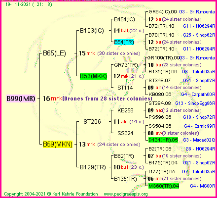 Pedigree of B99(IMR) :
four generations presented
it's temporarily unavailable, sorry!