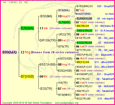 Pedigree of B99(MA) :
four generations presented<br />it's temporarily unavailable, sorry!