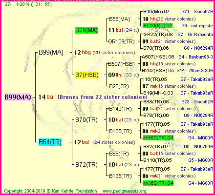 Pedigree of B99(MA) :
four generations presented
it's temporarily unavailable, sorry!