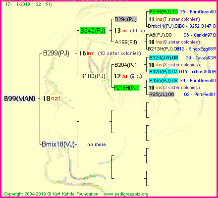 Pedigree of B99(MAN) :
four generations presented
it's temporarily unavailable, sorry!