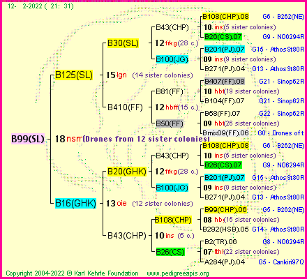 Pedigree of B99(SL) :
four generations presented
it's temporarily unavailable, sorry!