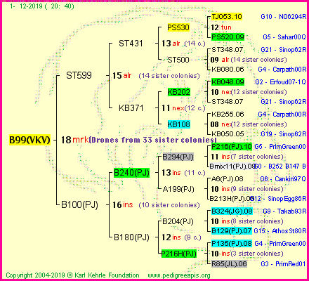 Pedigree of B99(VKV) :
four generations presented
it's temporarily unavailable, sorry!