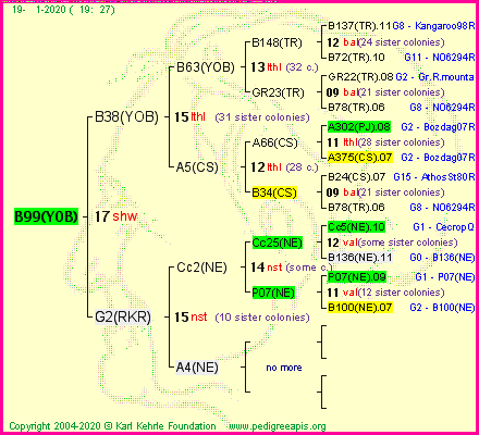 Pedigree of B99(YOB) :
four generations presented<br />it's temporarily unavailable, sorry!