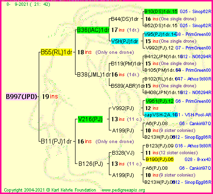 Pedigree of B997(JPD) :
four generations presented
it's temporarily unavailable, sorry!