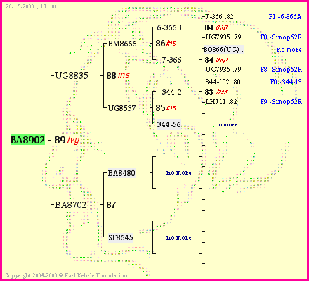 Pedigree of BA8902 :
four generations presented