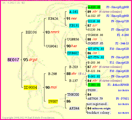 Pedigree of BE017 :
four generations presented