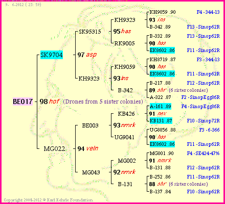 Pedigree of BE017 :
four generations presented