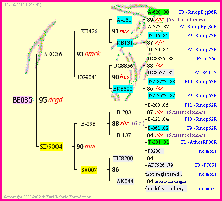 Pedigree of BE035 :
four generations presented