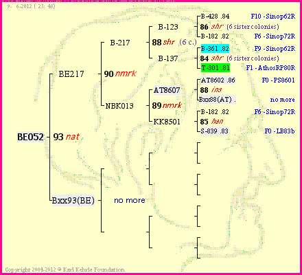 Pedigree of BE052 :
four generations presented