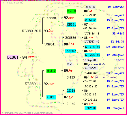 Pedigree of BE061 :
four generations presented