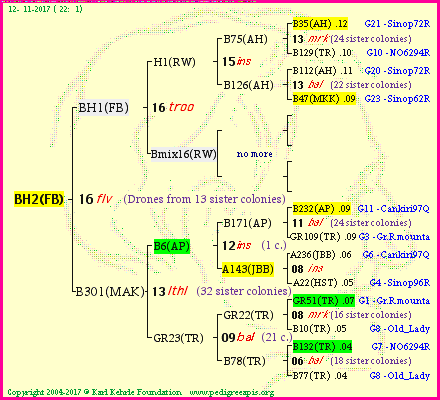 Pedigree of BH2(FB) :
four generations presented