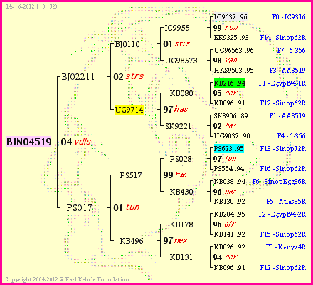 Pedigree of BJN04519 :
four generations presented