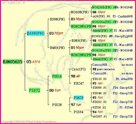 Pedigree of BJN05635 :
four generations presented