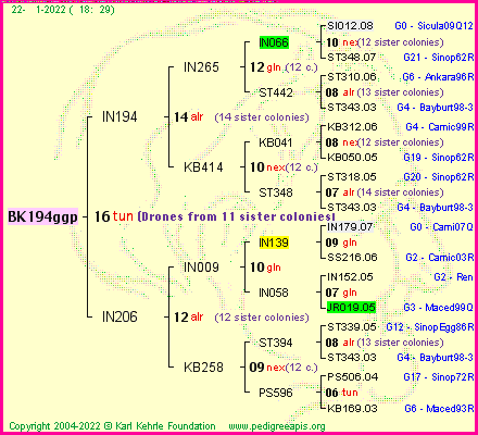 Pedigree of BK194ggp :
four generations presented
it's temporarily unavailable, sorry!