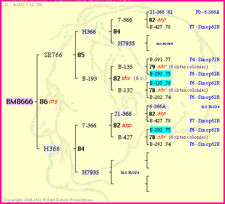 Pedigree of BM8666 :
four generations presented