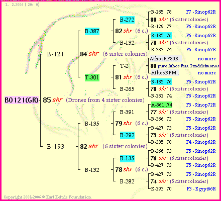 Pedigree of BO121(GR) :
four generations presented
it's temporarily unavailable, sorry!