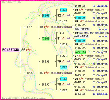 Pedigree of BO137(GR) :
four generations presented
it's temporarily unavailable, sorry!